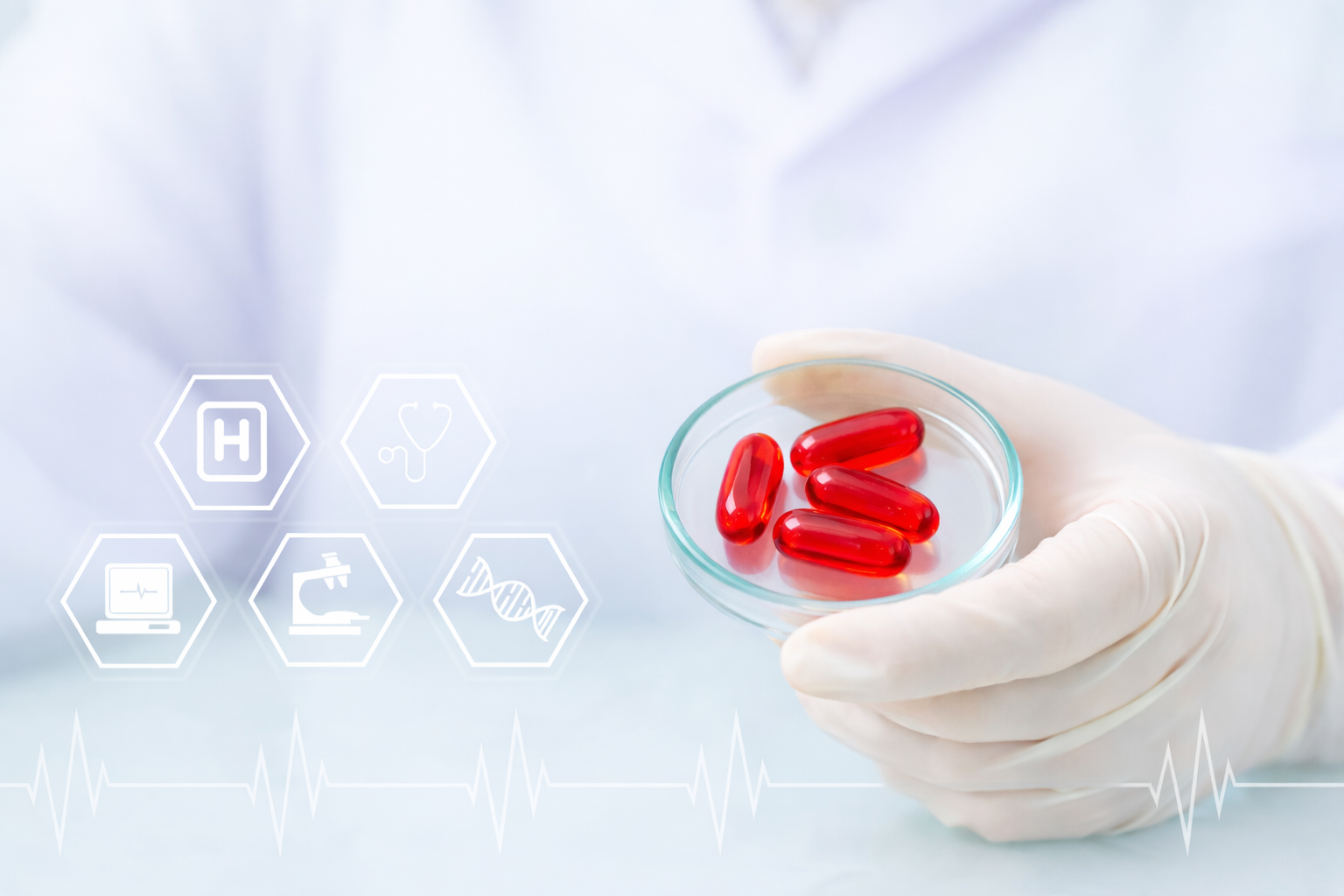 保健食品功能性評估